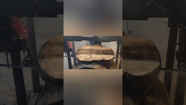 Песня про бобра . смотреть онлайн