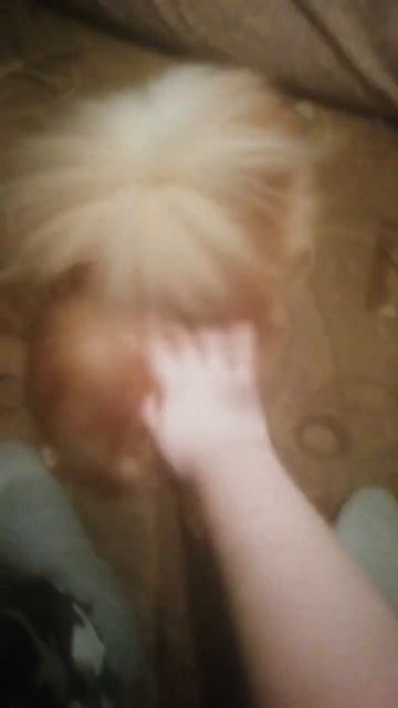 рыжик смотреть онлайн