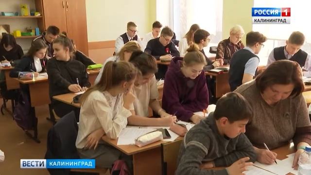 В Калининграде состоялся математический флешмоб MathCat 2019 смотреть онлайн