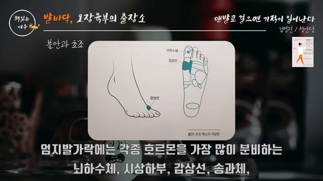 맨발로 걸으면 생기는 놀라운 효과! | 발바닥에 숨어 있는 비밀! | 🎈발바닥 지압법 | 책읽어주는여자 | 오디오북 [KOR CC] смотреть онлайн