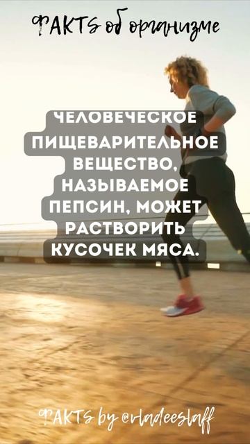 ФАКТS by @vladeeslaff | Об организме | Пищеварение. Пепсин смотреть онлайн