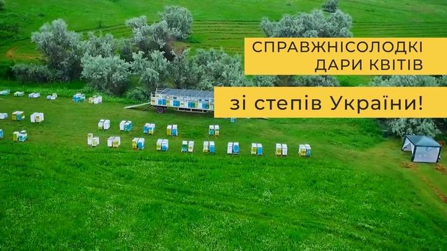 Медовая Фабрика смотреть онлайн