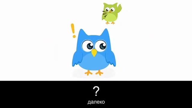Yрок польского языка - Положение и движение 2 (Położenie i ruch) смотреть онлайн