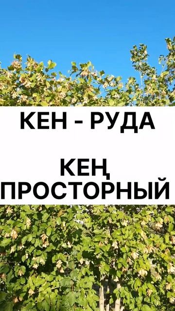 Казахский язык для всех! Звуки Н и Ң казахского языка смотреть онлайн