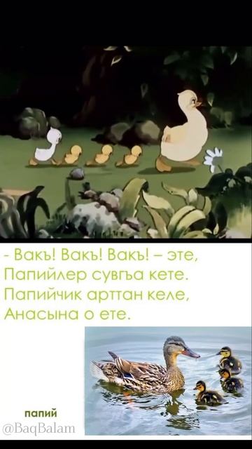 Papiy. Стих на крымскотатарском языке #crimeantatar #kırımlı #крымскотатарский смотреть онлайн