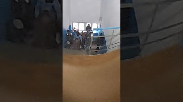 Ухта / югер / дети / школьники смотреть онлайн