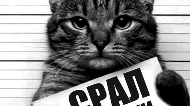 КАК СТАТЬ УСПЕШНЫМ?!САМЫЙ БОГАТЫЙ РЕБЕНОК В МИРЕ! смотреть онлайн