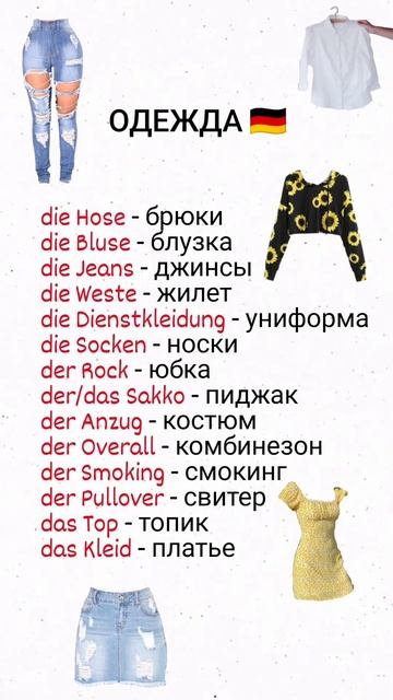 Одежда в немецком языке. Учим немецкие слова смотреть онлайн