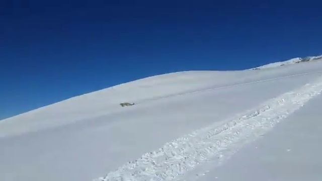 Живой барс этой зимой 2016г. смотреть онлайн