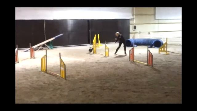 Liloja JinxVE 1360963827697