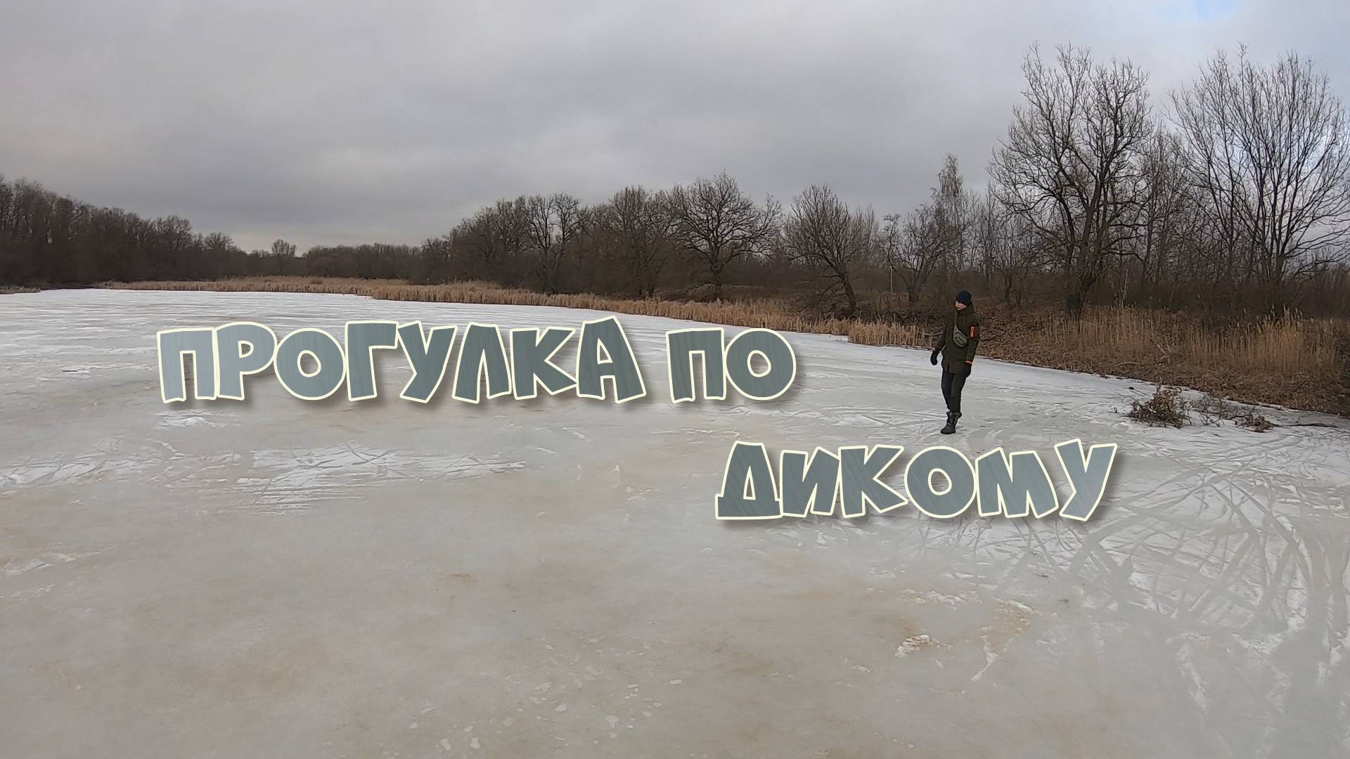Прогулка по Дикому смотреть онлайн