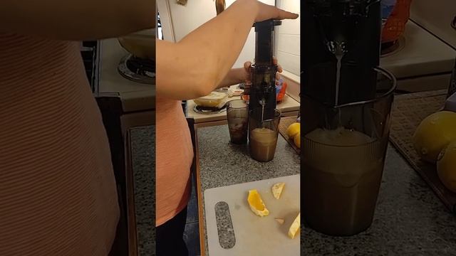 DASH DCSJ255 Deluxe Compact Cold Press Juicer first use ... смотреть онлайн