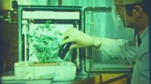 Химия.Тема "Фосфор" P.Документальные и обучающие фильмы СССР.