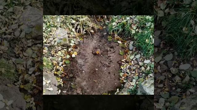 Природа в Германии | Ноябрь 2019.