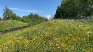 Туристический поезд «Ладожская Нерпочка». Паровоз «овечка» в Сортавала.