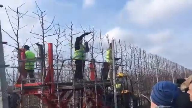 Платформа садовая , неотъемлемая часть современного сада🍎+7 903 642 07 82 смотреть онлайн