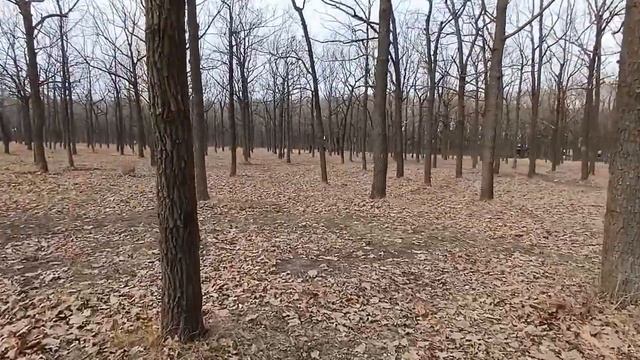 Прогулка со мной ПАРК Гуляем покупаем смотреть онлайн