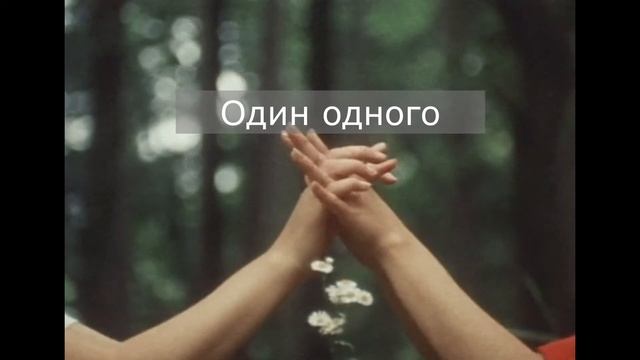 Провина зірок