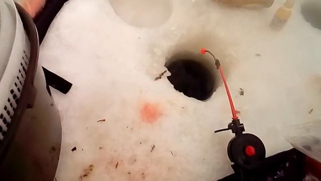 Зимняя рыбалка на ротана 1 часть смотреть онлайн