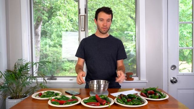 Testing 5 Different Fertilizers For Growing Peppers - Pepper Geek смотреть онлайн