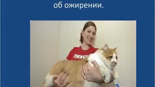 "Солстики" - Супер-полезные напитки для Здоровья! Замена сладкому! смотреть онлайн