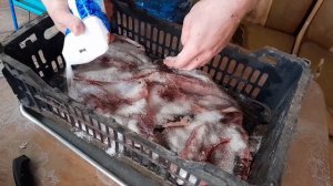 солю карася сухим посолом#дом#рыба#карась