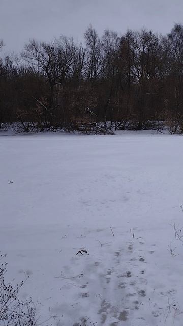 #живаяприрода #природа #зима смотреть онлайн