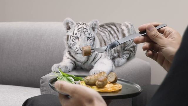 Neuburger Hermann Fleischlos TV-Spot смотреть онлайн