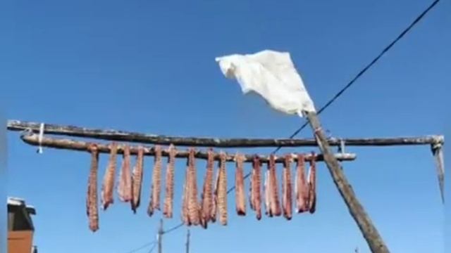 Индигиир ерууьум смотреть онлайн
