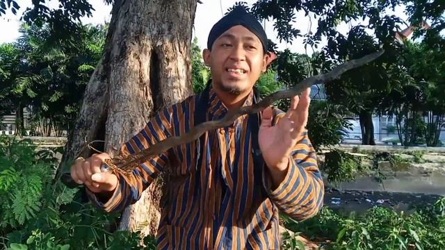 KERIS LUK 13 DENGAN UKURAN EKSTRIM INI TERNYATA PAMORNYA... #sengkelat #pusaka #kerisbali смотреть онлайн