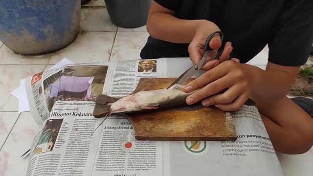 PRAKTIKUM IKHTIOLOGI 2020 - KELOPOK 6 AKUAKULTUR UNDIP смотреть онлайн