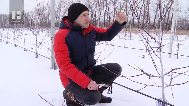 Управдом (23.03.21) смотреть онлайн