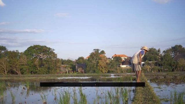 Resources - Types of resources, Uses of resources смотреть онлайн