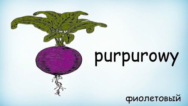 цвета на польском смотреть онлайн