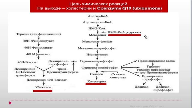 Coenzyme q10. Коэнзим q10 (на английском языке) смотреть онлайн