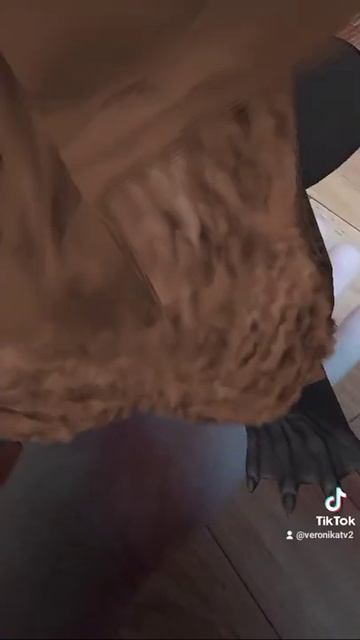 мне не повезло бобер 🤣 смотреть онлайн