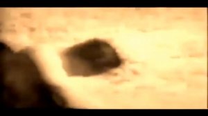 Масутацу Ояма бой с быком