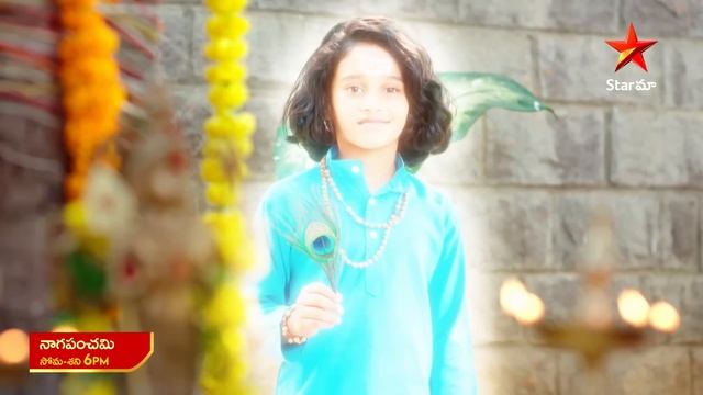 NagaPanchami - Promo | 23rd Apr 2024 | Star Maa Serials | Mon-Sat at 6 pm | Star Maa смотреть онлайн
