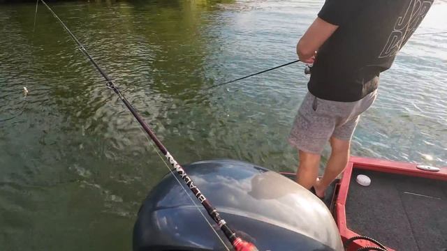 Рыбалка и отдых н Дону, плюс кулинарная минутка, судак на мангале, рецепт в описании. смотреть онлайн