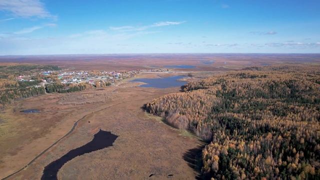 Аэросъёмка Природа Зайцево речки осень. смотреть онлайн