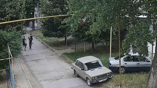 Стайный инстинкт