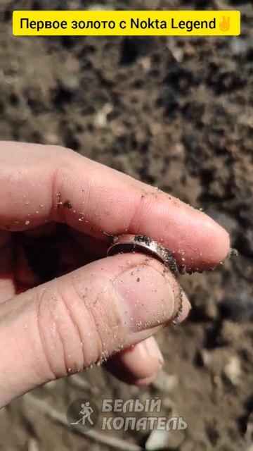 Первое золото найденное с Nokta Legend✌ смотреть онлайн