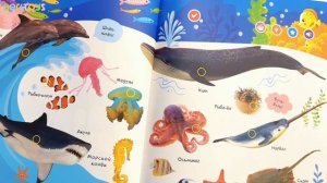 Большая говорящая Нажималка "Животные" от BertToys. Инструкция