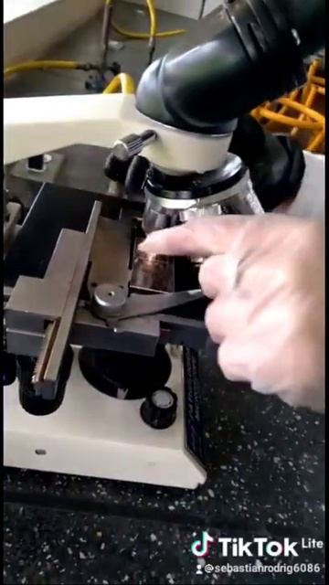 cómo analizar una muestra en el microscopio смотреть онлайн