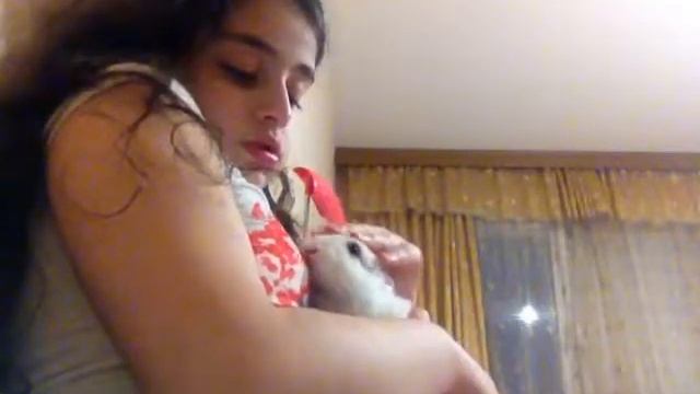 песня мне нравится поёт кролик Эльза