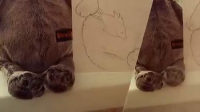 Созидаем вместе смотреть онлайн