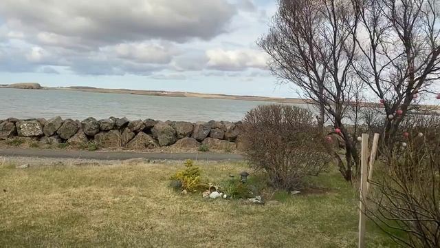 ИСЛАНДИЯ .ОТВЕТЫ НА ВОПРОСЫ (ЯЗЫК,ПАСПОРТ,ФРИЛАНСЕР) смотреть онлайн