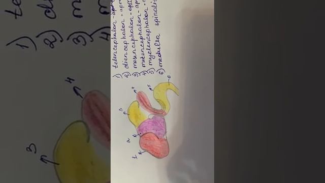 Астана Медициналык университети 131 группа студенти ,Бекнура Мухамеджанкызы смотреть онлайн