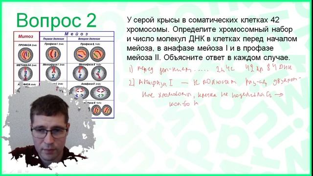 Деление клетки Блок 3 смотреть онлайн