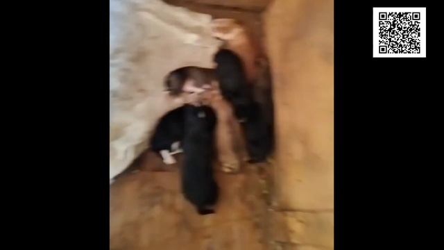 Мама из турбины/Mom from the turbine смотреть онлайн